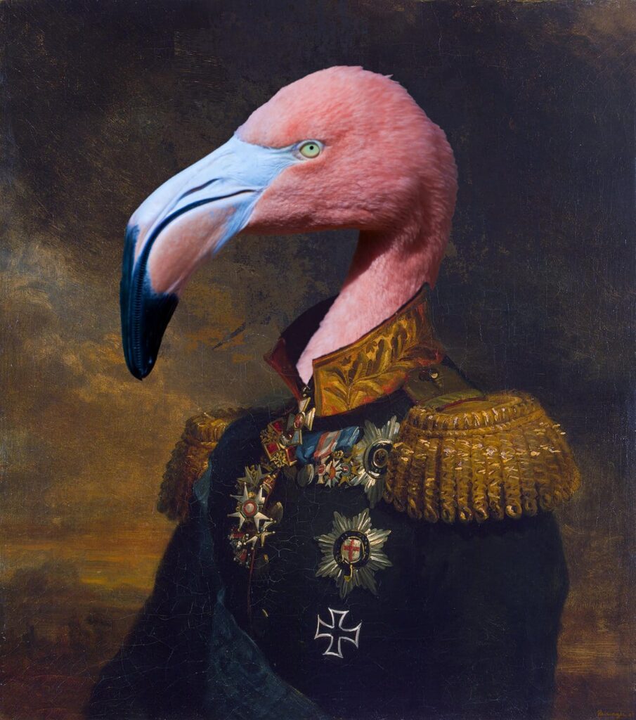 Flamingokopf im Admiralskostüm