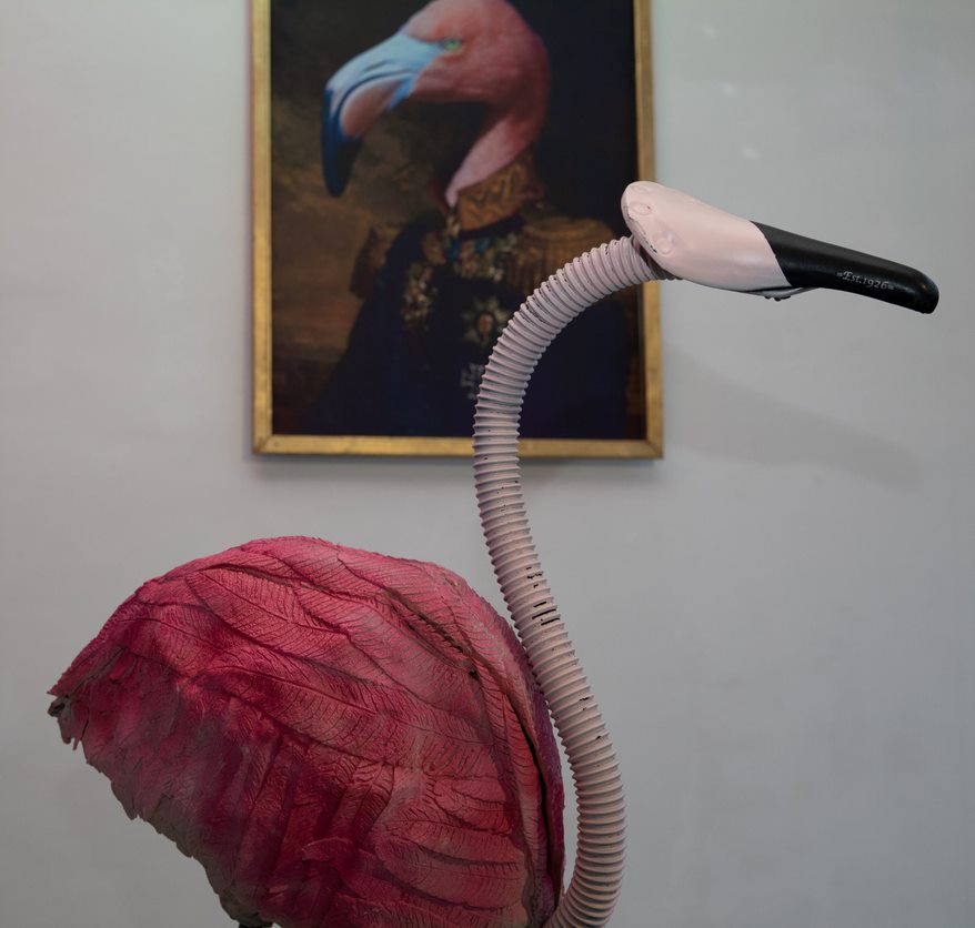 Roseidoskop und Bild