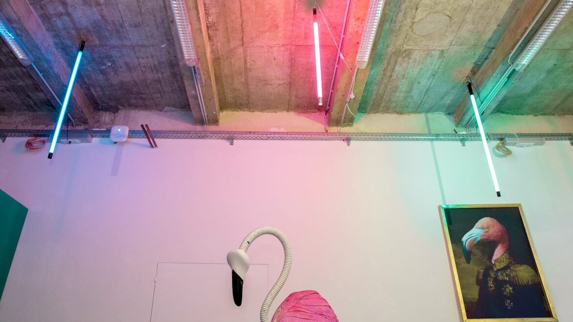 Summer Anthem Lichter