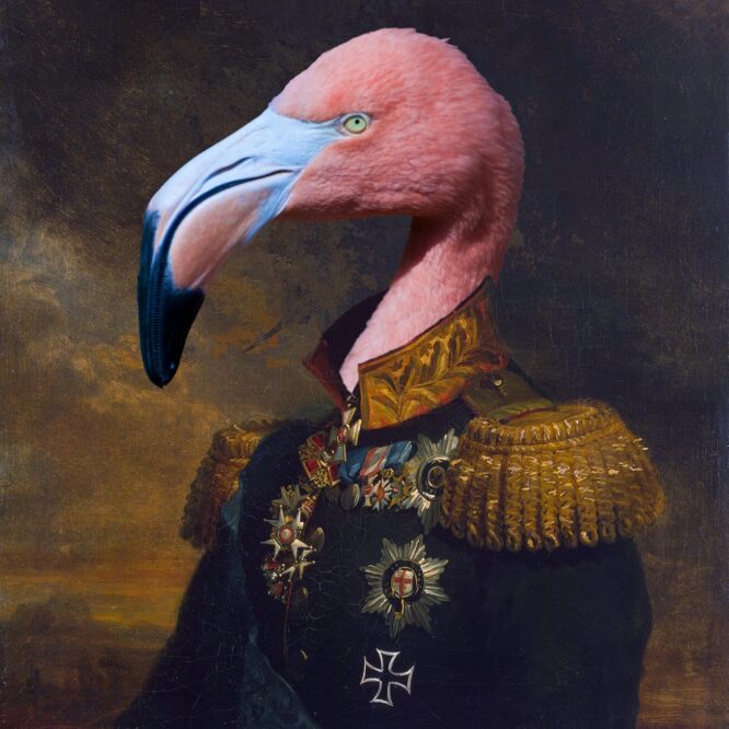 Flamingokopf im Admiralskostüm